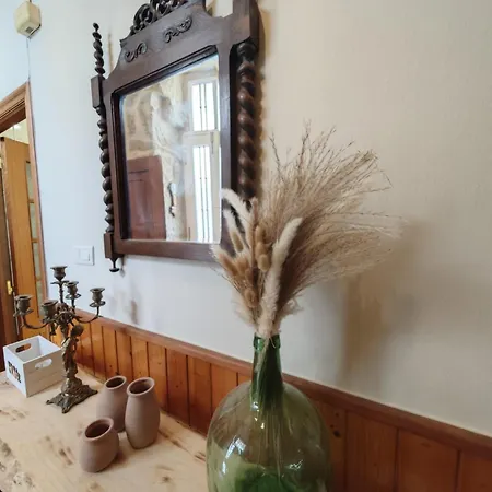 Casco Historico Vacaciones Inolvidables 別荘 アジャリス